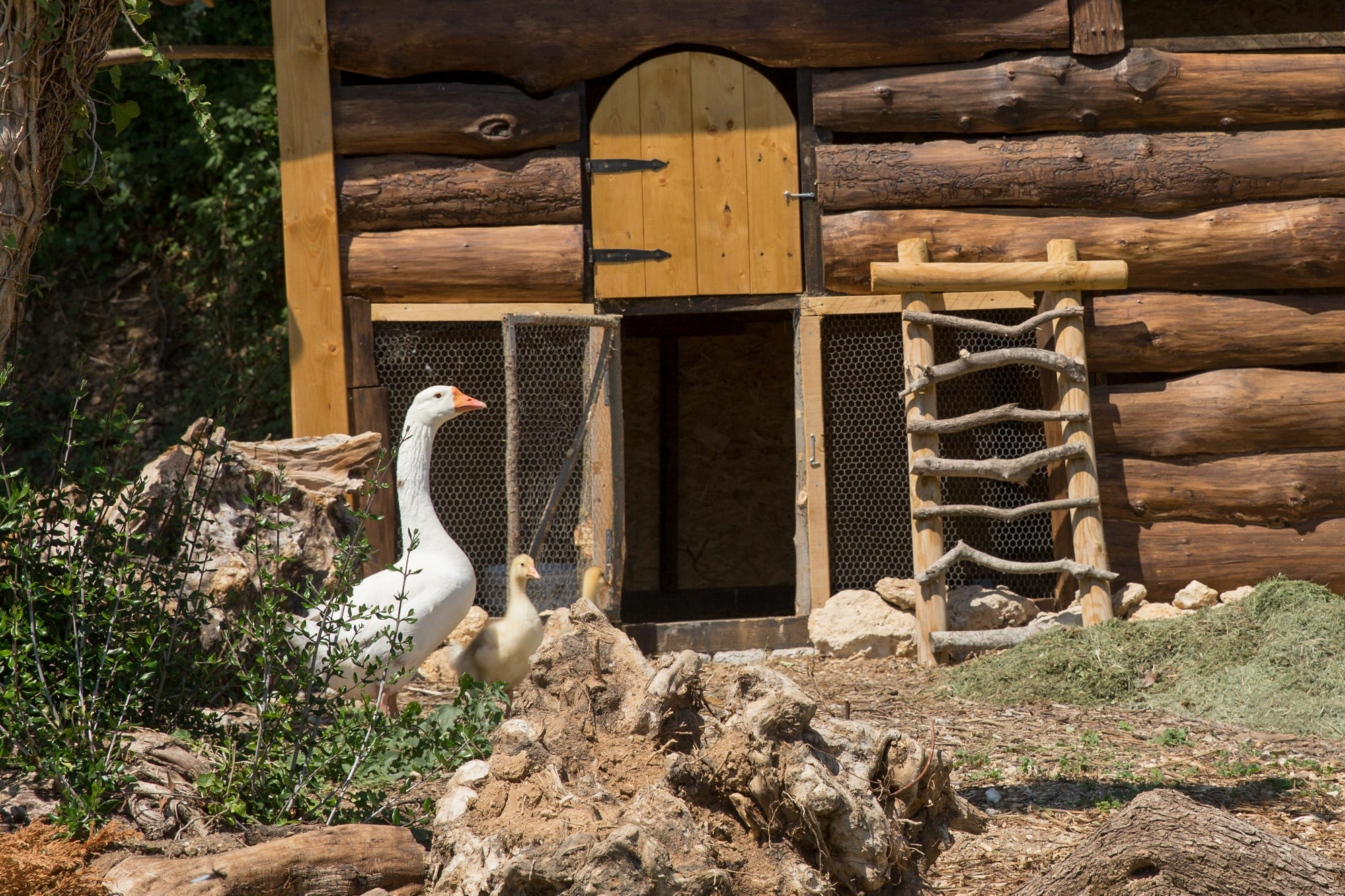 Agriturismo Le Anfore Villa Sarteano Esterno foto