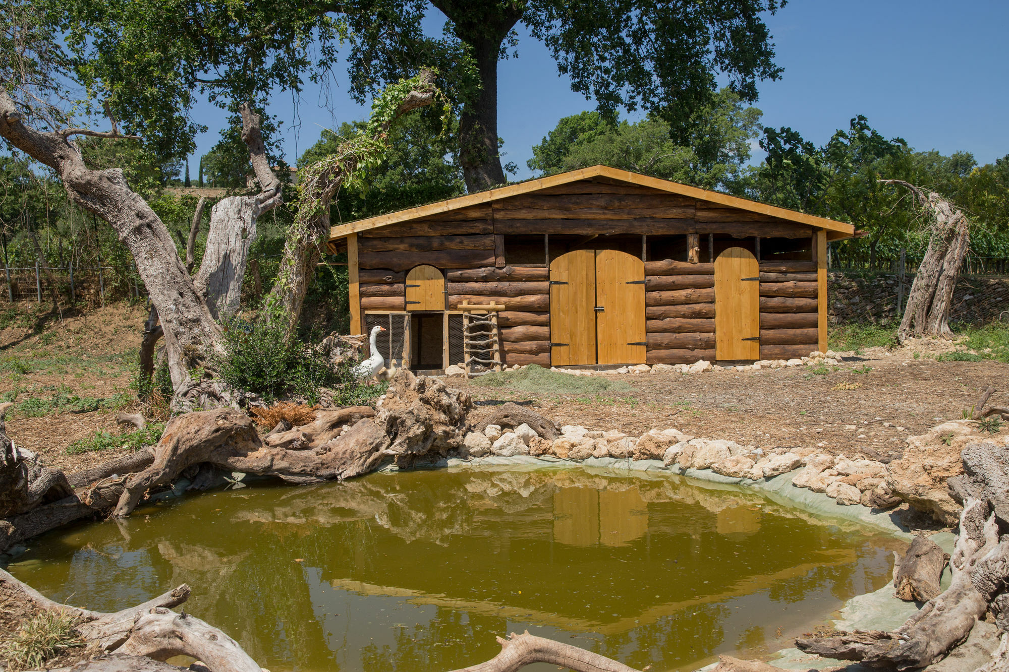 Agriturismo Le Anfore Villa Sarteano Esterno foto